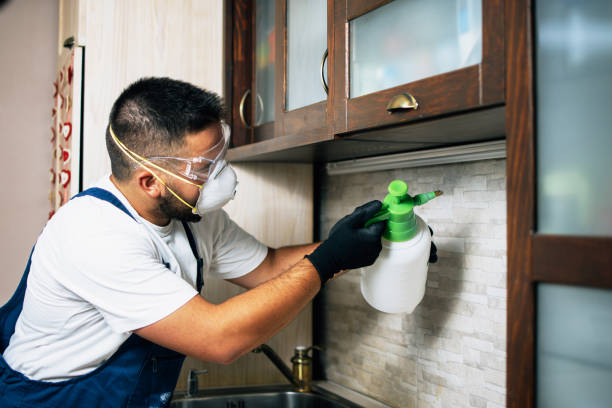 Best Residential Pest Control  in Westke, LA