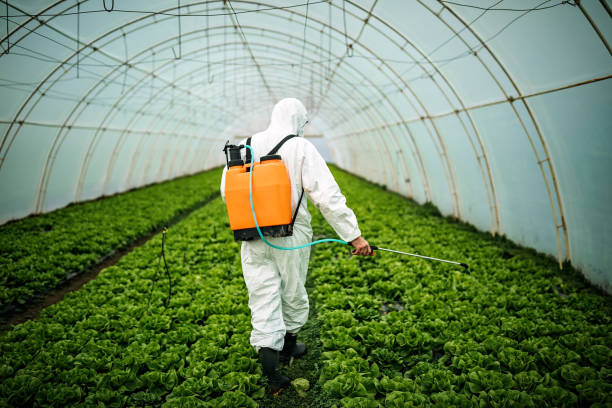 Reliable Westlake, LA Pest Control Solutions