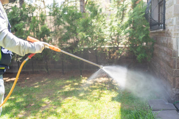 Best Bed Bug Extermination  in Westke, LA