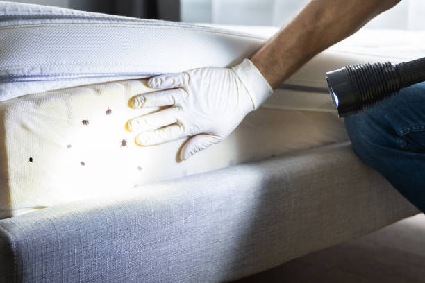 Best Best Pest Control Companies  in Westke, LA